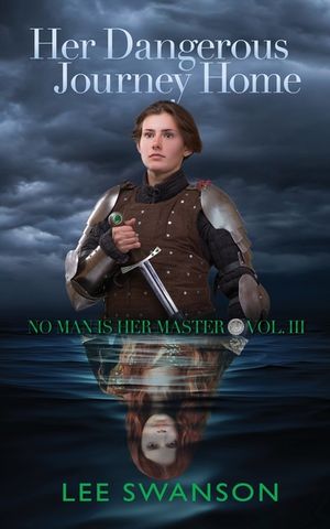 Her Dangerous Journey Home image number 0