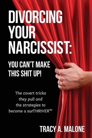 Divorcing Your Narcissist: You Can't Make This Shit Up! image number 0