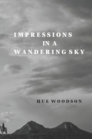 Impressions in a Wandering Sky image number 0