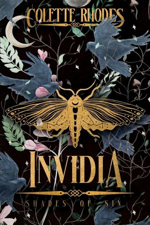 Invidia image number 0