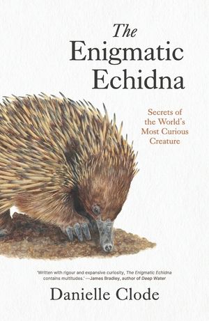The Enigmatic Echidna: Secrets of the World's Most Curious Creature image number 0