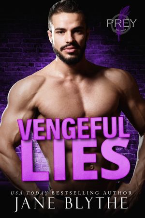 Vengeful Lies image number 0