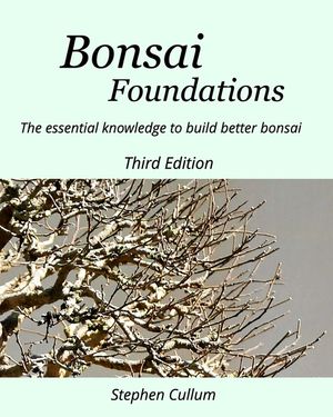 Bonsai Foundations: The essential knowledge to build better bonsai image number 0