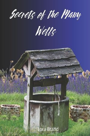Secrets of the Many Wells image number 0