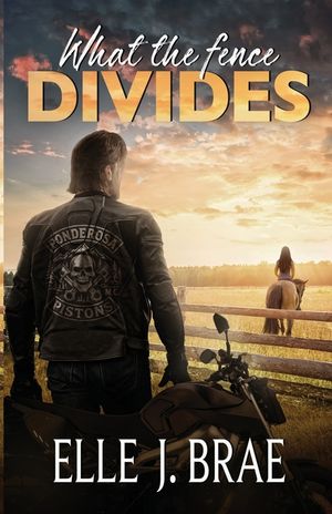 What the fence DIVIDES image number 0