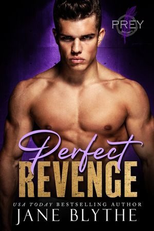 Perfect Revenge image number 0