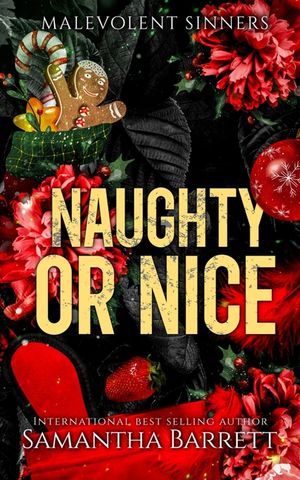 Naughty Or Nice image number 0
