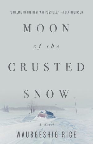Moon of the Crusted Snow image number 0