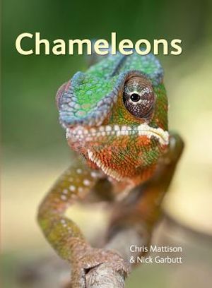 Chameleons image number 0