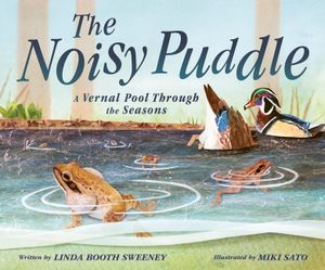The Noisy Puddle: A Vernal Pool Through the Seasons image number 0