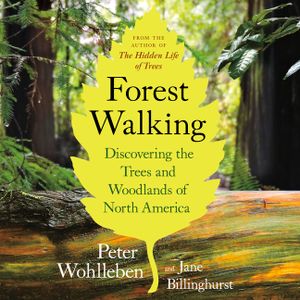 Forest Walking: Discovering the Trees and Woodlands of North America image number 0