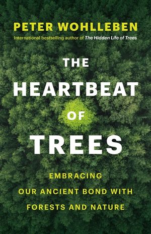 The Heartbeat of Trees: Embracing Our Ancient Bond with Forests and Nature image number 0