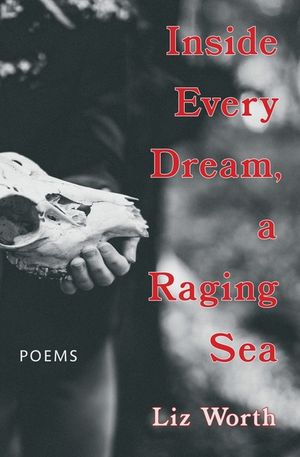Inside Every Dream, a Raging Sea image number 0