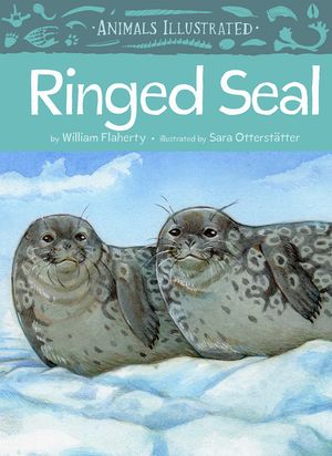Animals Illustrated: Ringed Seal image number 0