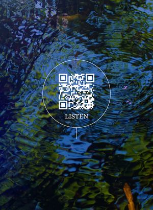 Wetland Project: Explorations in Sound, Ecology and Post-Geographical Art image number 0