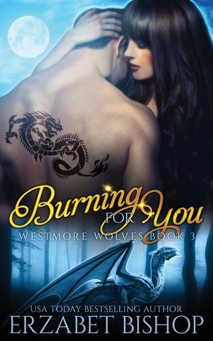 Burning For You image number 0