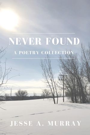 Never Found image number 0