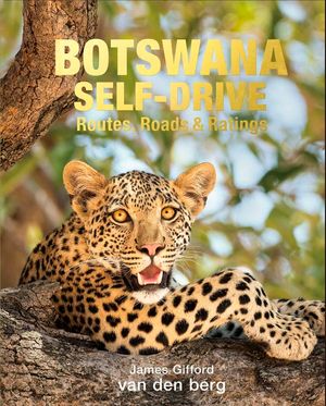 Botswana Self-Drive: Routes, Roads and Ratings image number 0
