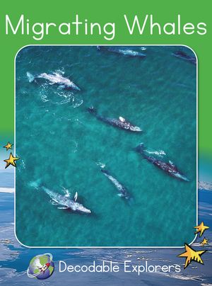 Migrating Whales: Fluency Launch image number 0