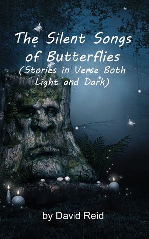 The Silent Songs of Butterflies: Stories in Verse Both Light and Dark image number 0