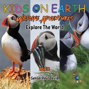 KIDS ON EARTH Wildlife Adventures - Explore The World - Puffin - Iceland image number 0