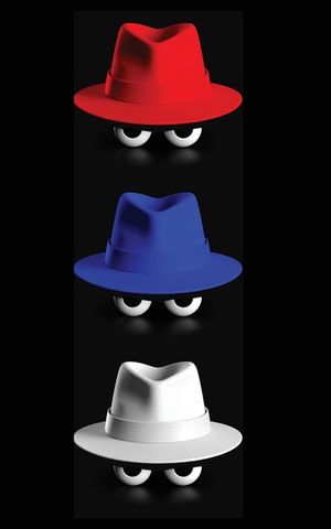 Red Team, Blue Team: A White Hacking Reference image number 0