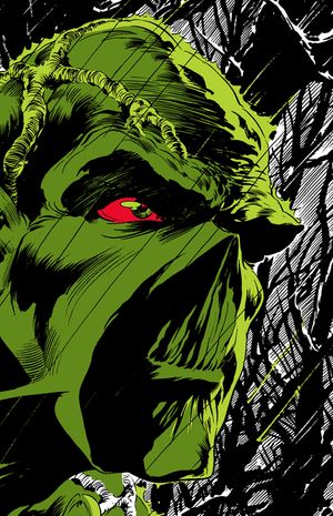 Absolute Swamp Thing by Len Wein and Bernie Wrightson image number 0