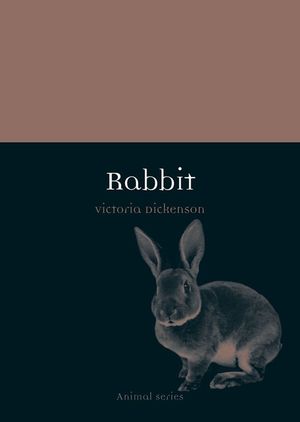 Rabbit image number 0