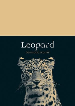 Leopard image number 0