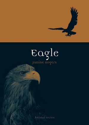 Eagle image number 0