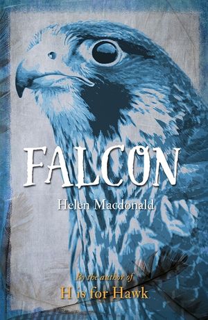 Falcon image number 0