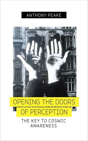 Opening the Doors of Perception: The Key to Cosmic Awareness image number 0