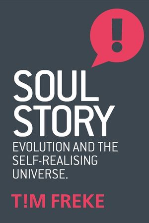 Soul Story: Evolution and the Purpose of Life image number 0
