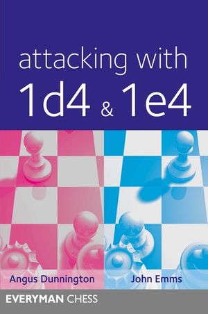 Attacking with 1d4&1e4 image number 0