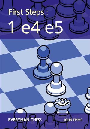 First Steps: 1e4e5 image number 0