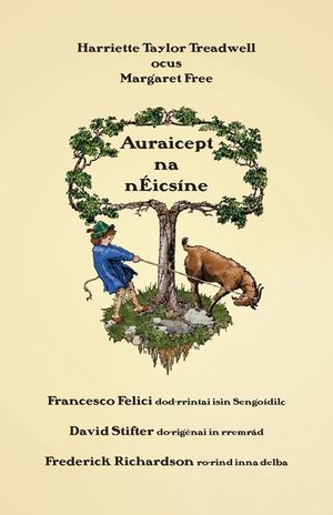 Auraicept na n&Eacute;ics&iacute;ne: A first reading book in Old Irish image number 0