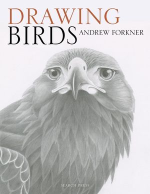 Drawing Birds image number 0