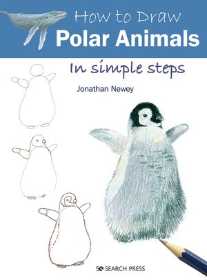 How to Draw Polar Animals in Simple Steps image number 0