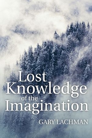 Lost Knowledge of the Imagination image number 0
