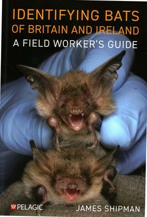 Identifying Bats of Britain and Ireland: A Field Worker's Guide image number 0