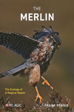 The Merlin: The Ecology of a Magical Raptor image number 0