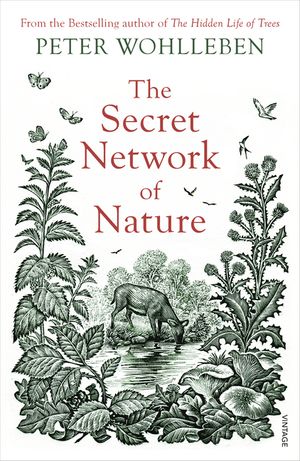 The Secret Network of Nature: The Delicate Balance of All Living Things image number 0