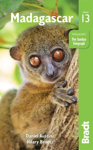 Madagascar image number 0