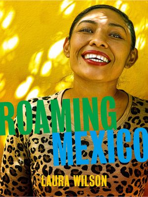 Roaming Mexico: Laura Wilson image number 0