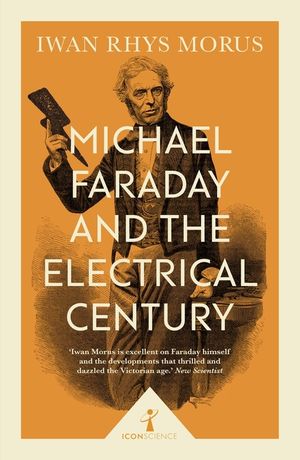 Michael Faraday and the Electrical Century image number 0
