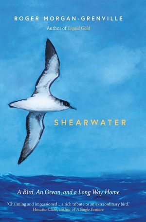 Shearwater: A Bird, an Ocean, and a Long Way Home image number 0