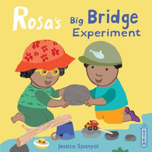 Rosa's Big Bridge Experiment image number 0