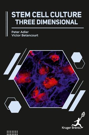 Stem Cell Culture: Three Dimensional image number 0