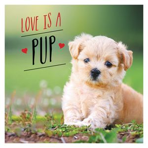 Love Is a Pup: A Dog-Tastic Celebration of the World's Cutest Puppies image number 0
