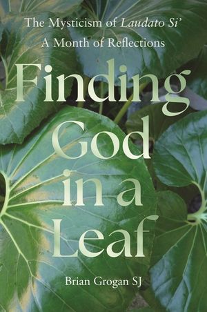 Finding God in a Leaf: The Mysticism of Laudato Si' image number 0